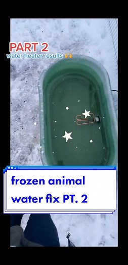 Duck Dad Official on TikTok