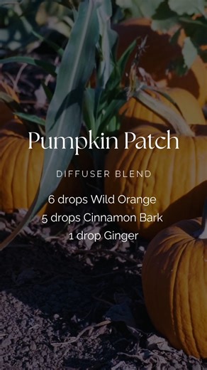 Who needs a pumpkin patch when you can have one in your diffuser? 🍁 6 drops Wild Orange 5 drops Cinnamon Bark 1 drop Ginger | doTERRA Essential Oils USA