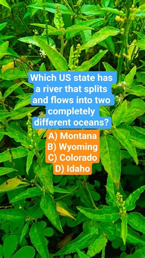 Which US state has a river that splits and flows into two completely different oceans?