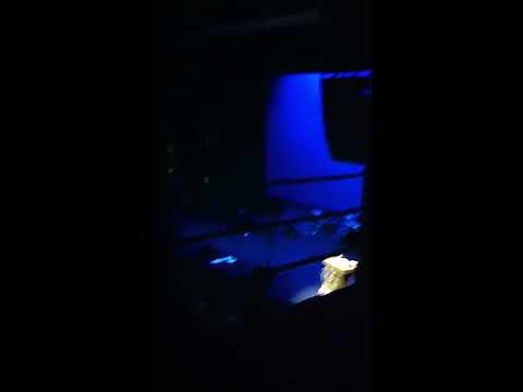 Cast of Grey's Anatomy performing "Chasing Cars" - Benefit Concert