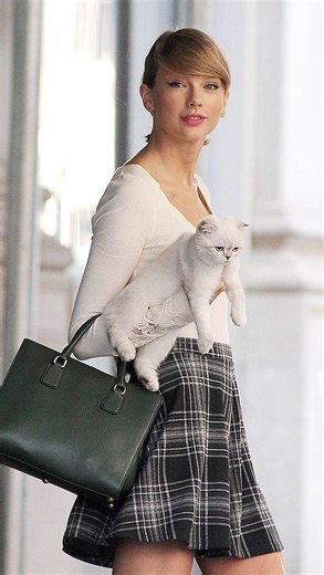 Cam on Instagram: "‼️🚨JEAN RALPHIO Q&A ‼️🚨 Answering more in the next vid divas 🫶🏻🐾🫧 I have to work this weekend so getting these up as fast as I can ‼️‼️‼️ Sorry I had to cut it there I’m a working new mother Would u subscribe if I did long-form YouTube vids?? ⬇️⬇️⬇️⬇️⬇️ Follow us on TikTok- @ poppcamm #explore #feralcat #straycat"