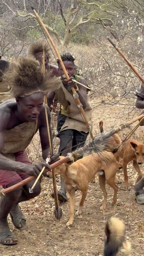 How the Hadzabe Hunters Find Wild Animals Without Modern Tools