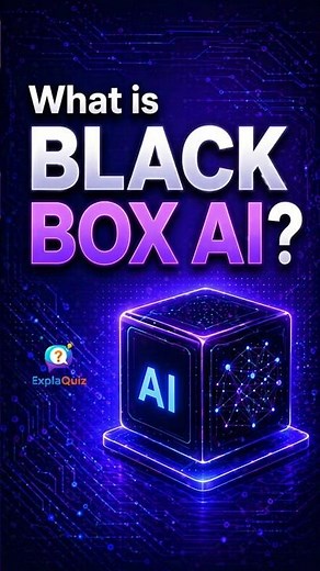 What is black box AI?
