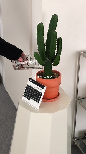 【 社会人1年目の朝 】今年は色々たくさん挑戦して、頑張る年にしよう🧤 #routine #morningroutine #ルーティン #日常 #日常vlog #vlog日常 #雰囲気 #パッとピッとプロミス