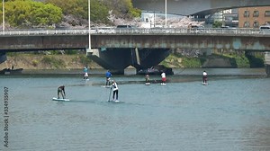 People enjoying SUP in the city, Japan. Standup paddleboarding. 4K