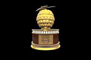 Golden Raspberry Awards Reveal 2018 Winners │ Exclaim!