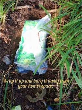 How to dispose of a#cursed item safely & #blessing of a space incl. psalm 109. ‪@Labubushort‬LABUBU