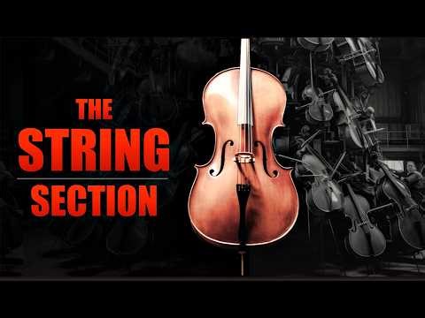 What Instruments Are In The String Section? #musicproduction