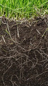 2.7K views · 18 reactions | 信心的堅定根基｜歌羅西書2:6-7｜The Firm Foundation of Faith, Today's Scripture: Colossians 2:6-7｜(Read now) 按入靈修 https://www.patreon.com/posts/83755743 | 每日靈修‧每日讀聖經 | Facebook