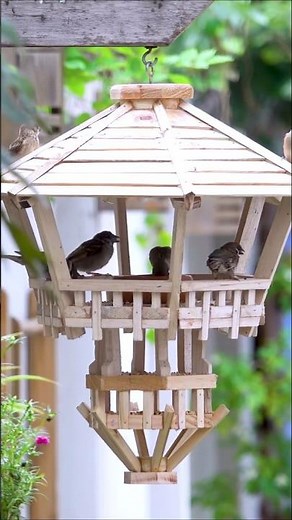 Build Your OWN Simple WOODEN Bird Feeder At Home Today #diy #crafts #birdlovers #shorts