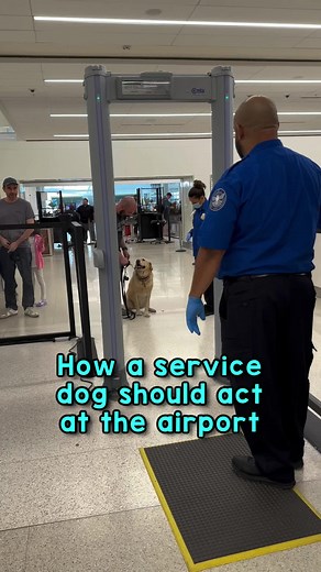 7.7M views · 196K reactions | I needed to fly down to Florida for a...