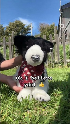 Essa stands for Emotional support stuffed animal #essa #emotionalsupportstuffedanimal