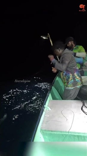 Catching Bonito Fish in the Sea #fishing #fishingvideo #fishingtime