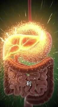 What are the functions of the liver? | Explanation of liver function #HumanPsychology #Beauty