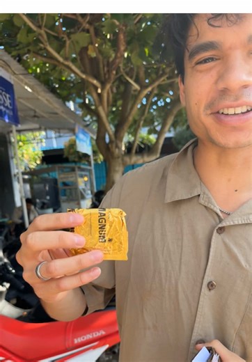 Max's Gecko Encounter and Bali Adventures