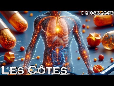 Anatomy of the Ribs - CQ#086