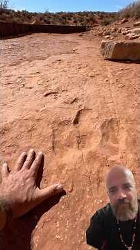 Ancient Dinosaur Fossils and Tracks Scattered Across Utah
