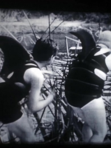 the addams family 1991 #theaddamsfamily #morticiaaddams #gomezaddams #wednesday #addamsfamily #foryou #fyp #5hargreevestua #anjelicahuston