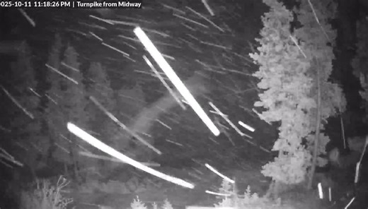 There’s just something cozy about late night snow on the webcams. | Red Lodge Mountain