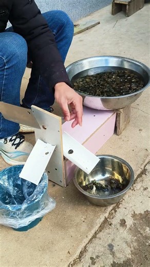 Snail shell removal process #shorts