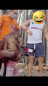 4.6K views · 78 reactions | He is more romantic than your husband #funnymonkey #funnyvideo #foryouシ゚ #fypシ゚ #reelsviralシ #funnymoments | Random Videos | Facebook
