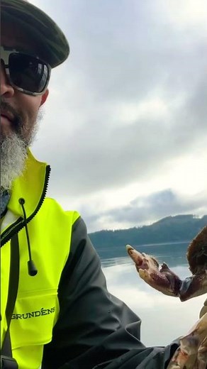 Largest Crab of the Year. Dungeness Crab that is!