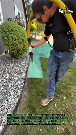 Hydroseeding Lawn Transformation – Spray, Grow, and Go Green!