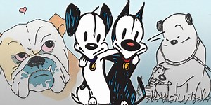 10 Best Mutts Cats and Dogs, Ranked