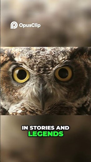 Owl Facts: Discover the Mystery and Importance of Owls!