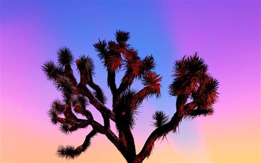 色彩摄影的艺术：The Art of Color Photography