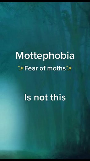 mottephobia - fear of moths ✨ which fear should i do next? #mottephobia #moth #moths #insects #phobia #fear #phobias #fypシ #foryoupage #fy #scary #fyp