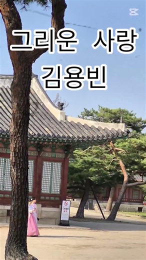 #김용빈 #그리운사랑 #김용빈노래모음 #김용빈콘서트 #트롯쇼츠 #서울여행