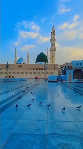#islamicvideo #islamicfigure #kabashareef #madina #islamicstatus #yaali