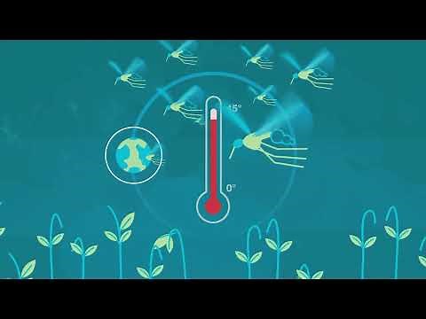 The triple planetary crisis of pollution, climate change and biodiversity loss