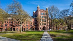 How To Get Into Yale: Admission Requirements   Top Tips