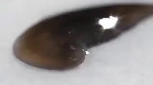 96K views · 882 reactions | Cut me if you can: Watch the amazing...