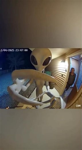 Alien Prank Gone Wrong? Shocking Dog Transformation on Camera!