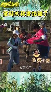 當時的我害怕雞了【飢餓遊戲】#shorts #hungergames #飢餓遊戲 #王仁甫 #許孟哲 #孫協志 #蔡黃汝 #阿龐 #各務孝太 #錢薇娟 #賴薇如 #潘映竹 #曾甜