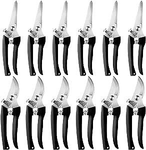 Amazon.com : Therwen 12 Pcs Garden Shears Flower Scissors Pruning Shears Floral Garden Clippers Hand Pruners Branch Cutter Gardening Tools for Plants Cutting, Trimming, Fruits Picking (Black,Bypass, Straight) : Patio, Lawn & Garden