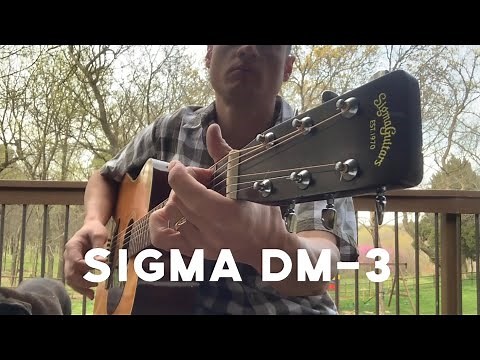 Sigma DM-3