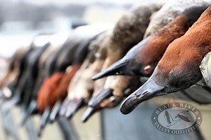 Waterfowl Hunts offered in New York