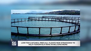 2.5K views · 24 reactions | Over the past few months, there have been increasing reports of fisherfolk garnering reduced catches. And the decline in the amount of fish caught by fisherfolk who have been plying their trade for a number of years has been a growing concern but President Dr. Irfaan Ali has outlined several strategies the government intends to roll out to remedy this issue. | News Room | Facebook