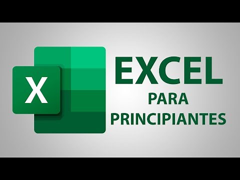 Curso Básico de Excel 2021