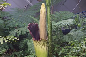 2.2K views · 82 reactions | WATCH: Behold, the time lapse footage of...