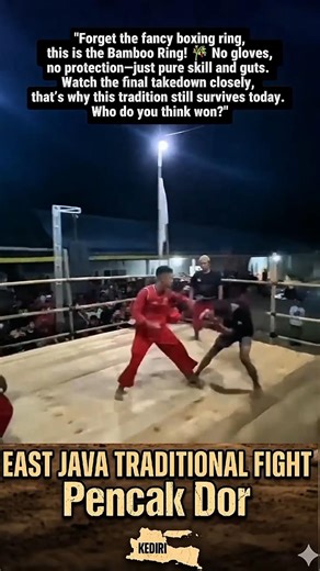 The Most BRUTAL Bare-Knuckle Tradition You’ve Never Seen 🇮🇩#real #fighting