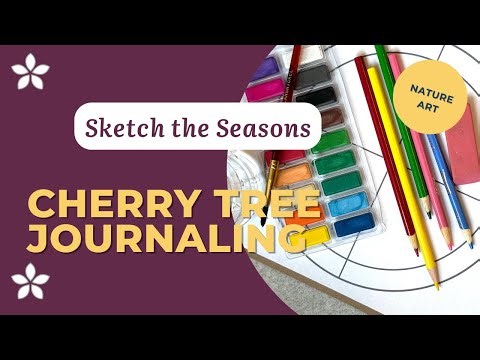 Nature Journaling Cherry Trees: Phenology Wheel Guide
