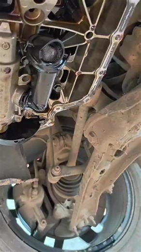 Fixing Volkswagen Oil Leaks