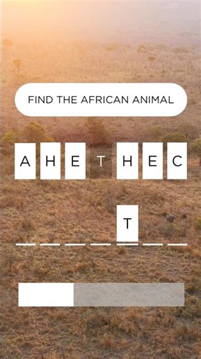 Find The African Animal! #quiz