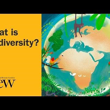 What is biodiversity?