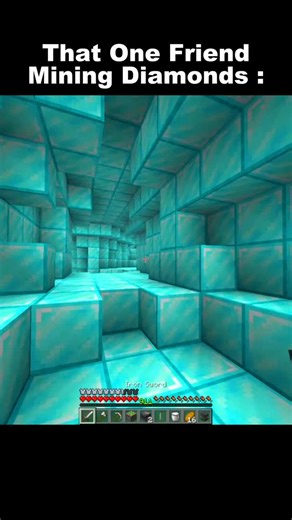 Wanna_Gamer on Instagram: "#minecraft"